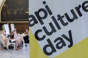 API culture day